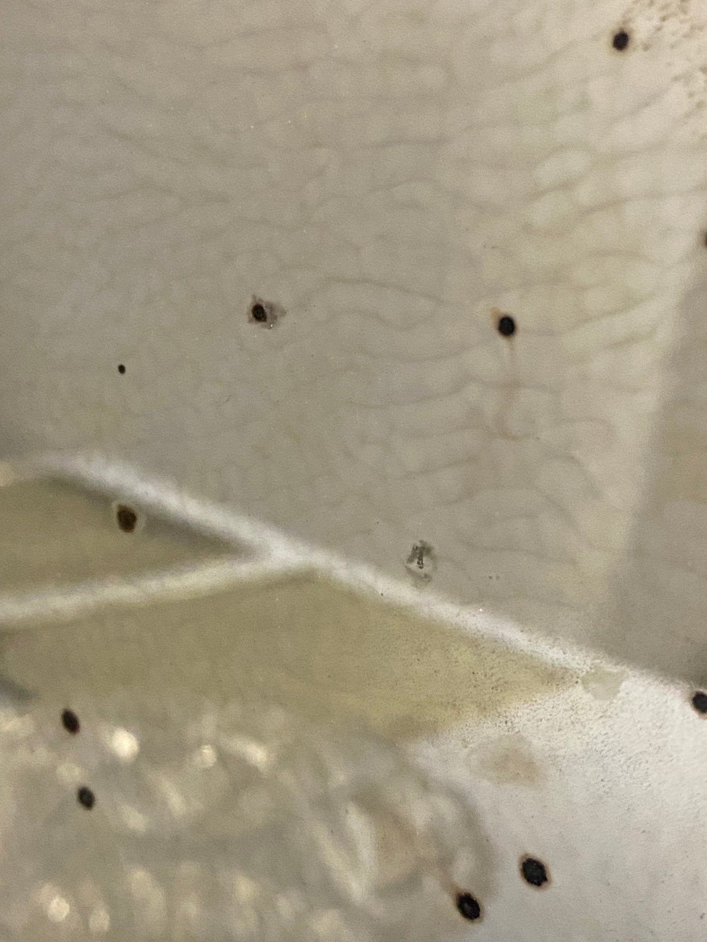 Antique mirror tiles 60x70